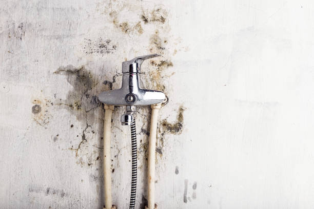 Best Bathroom Mold Remediation in Wetumka, OK