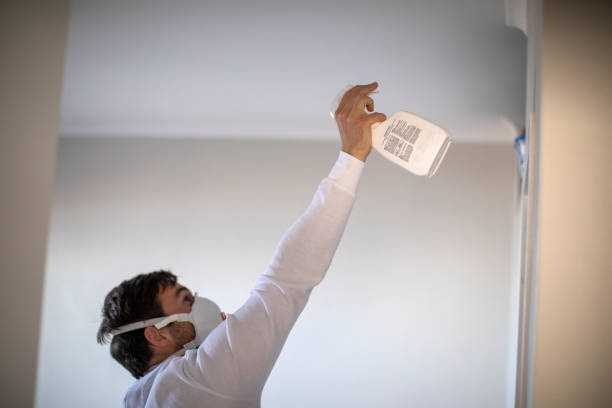 Best Mold Remediation for Specific Building Types in Wetumka, OK