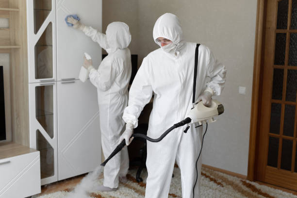 Best DIY Mold Remediation Support Services in Wetumka, OK