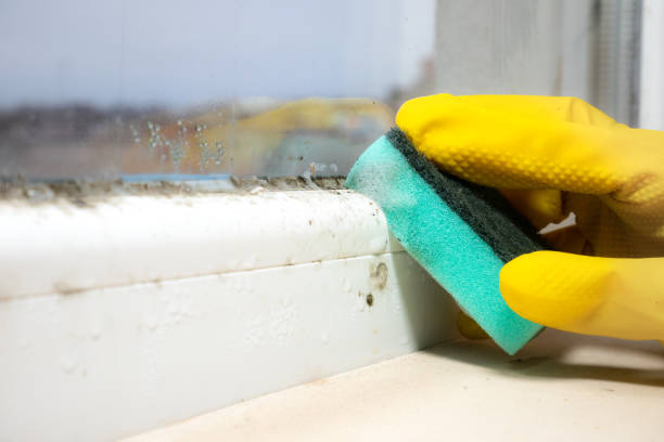 Best Crawl Space Mold Remediation in Wetumka, OK