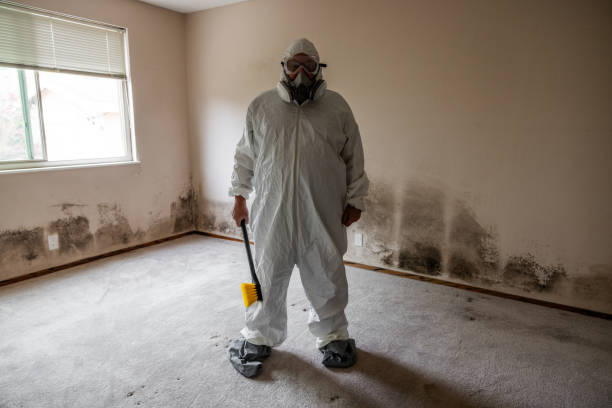 Best Mold Testing and Inspection Services in Wetumka, OK